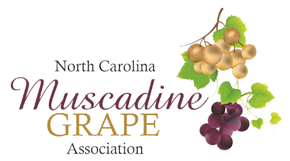 NC Muscadine